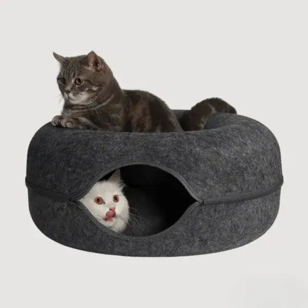 Michi Cueva | Rascador 3 en 1 para Gatos 😸