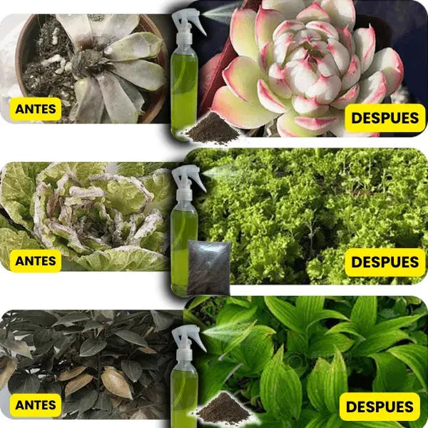 VitaPlant®️ Revitalizador de Plantas de Alta Concentración 🌱 Oferta 3x1