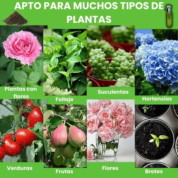 VitaPlant®️ Revitalizador de Plantas de Alta Concentración 🌱 Oferta 3x1