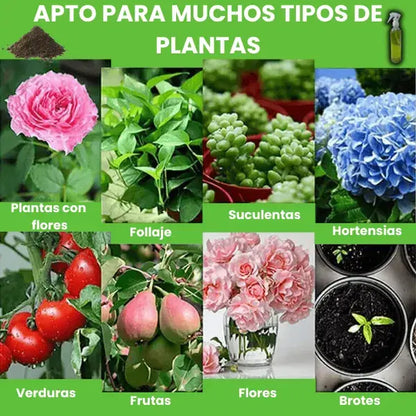 VitaPlant®️ Revitalizador de Plantas de Alta Concentración 🌱 Oferta 3x1