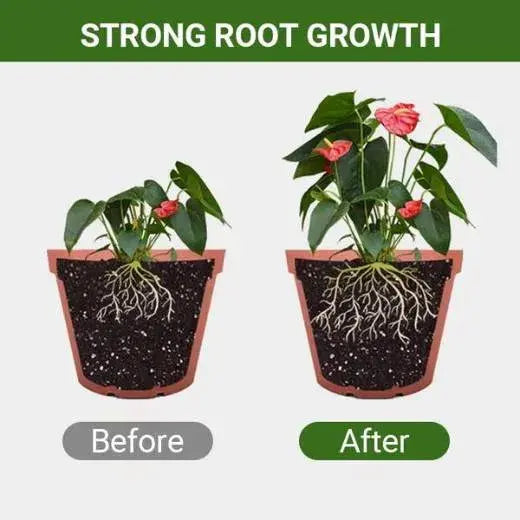 Abono Orgánico de Harina de Huesos - Favorece el Crecimiento de Flores y Frutos - 1 + 1 GRATIS