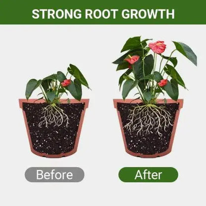 Abono Orgánico de Harina de Huesos - Favorece el Crecimiento de Flores y Frutos - 1 + 1 GRATIS
