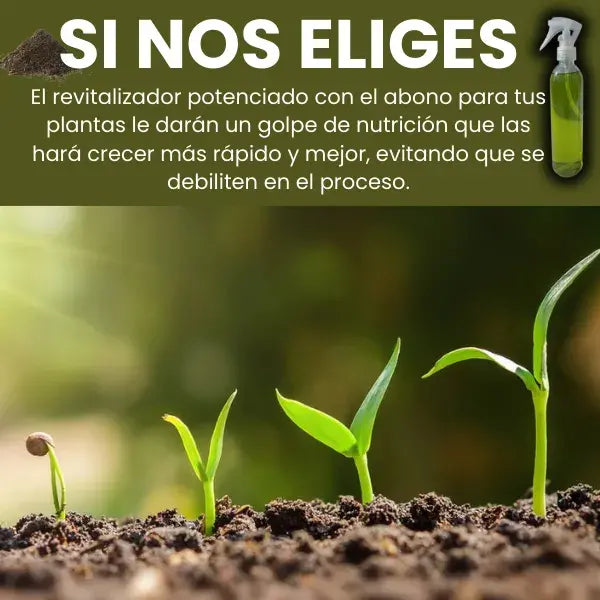 VitaPlant®️ Revitalizador de Plantas de Alta Concentración 🌱 Oferta 3x1